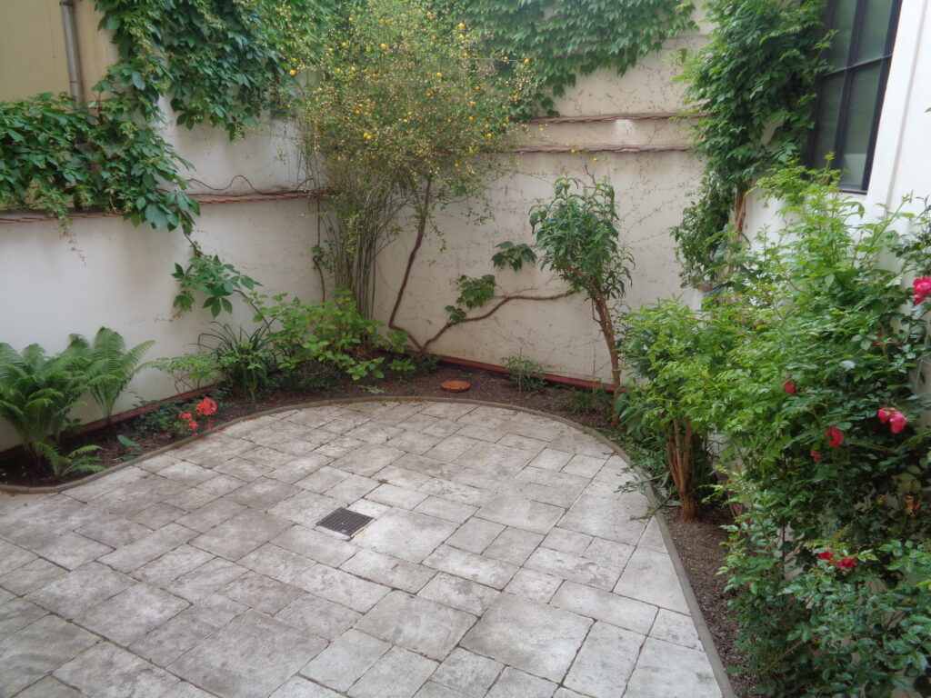 DSC03234